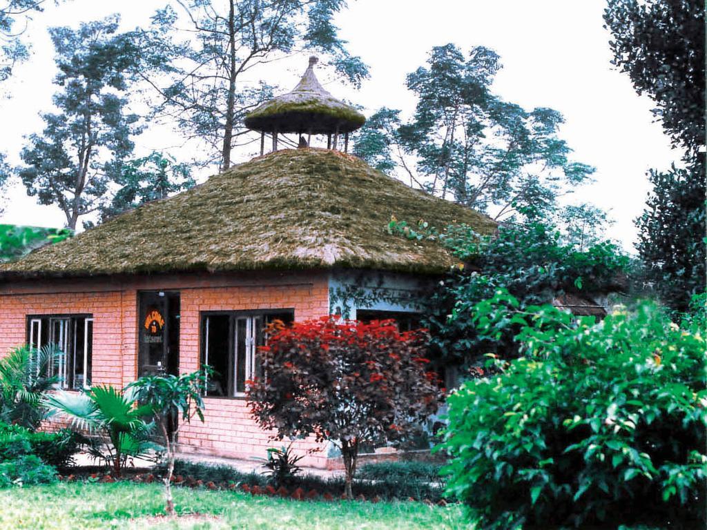 Rainbow Safari Resort Sauraha Bagian luar foto