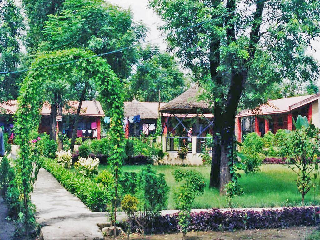 Rainbow Safari Resort Sauraha Bagian luar foto