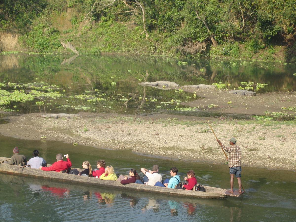 Rainbow Safari Resort Sauraha Bagian luar foto