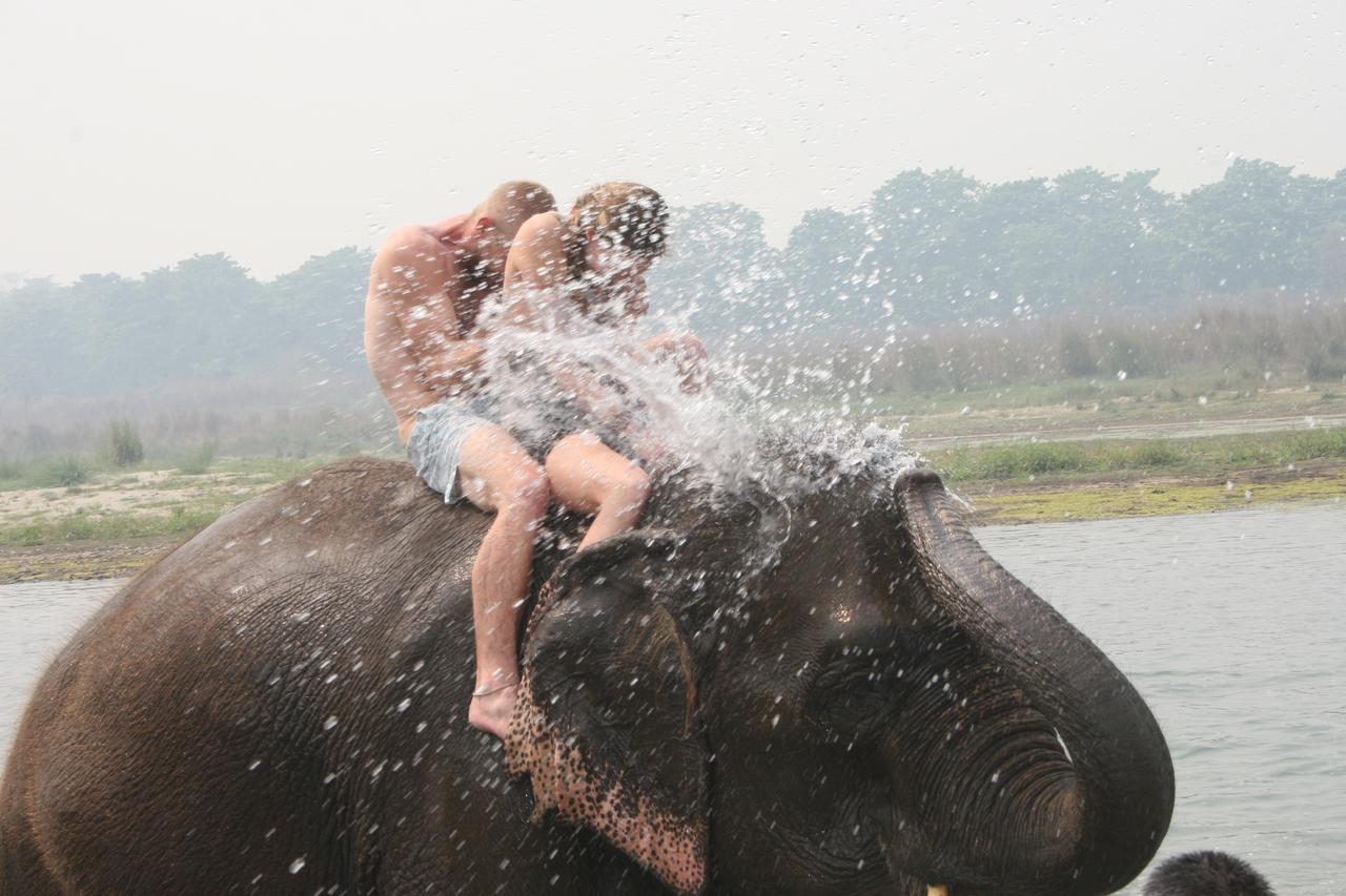 Rainbow Safari Resort Sauraha Bagian luar foto