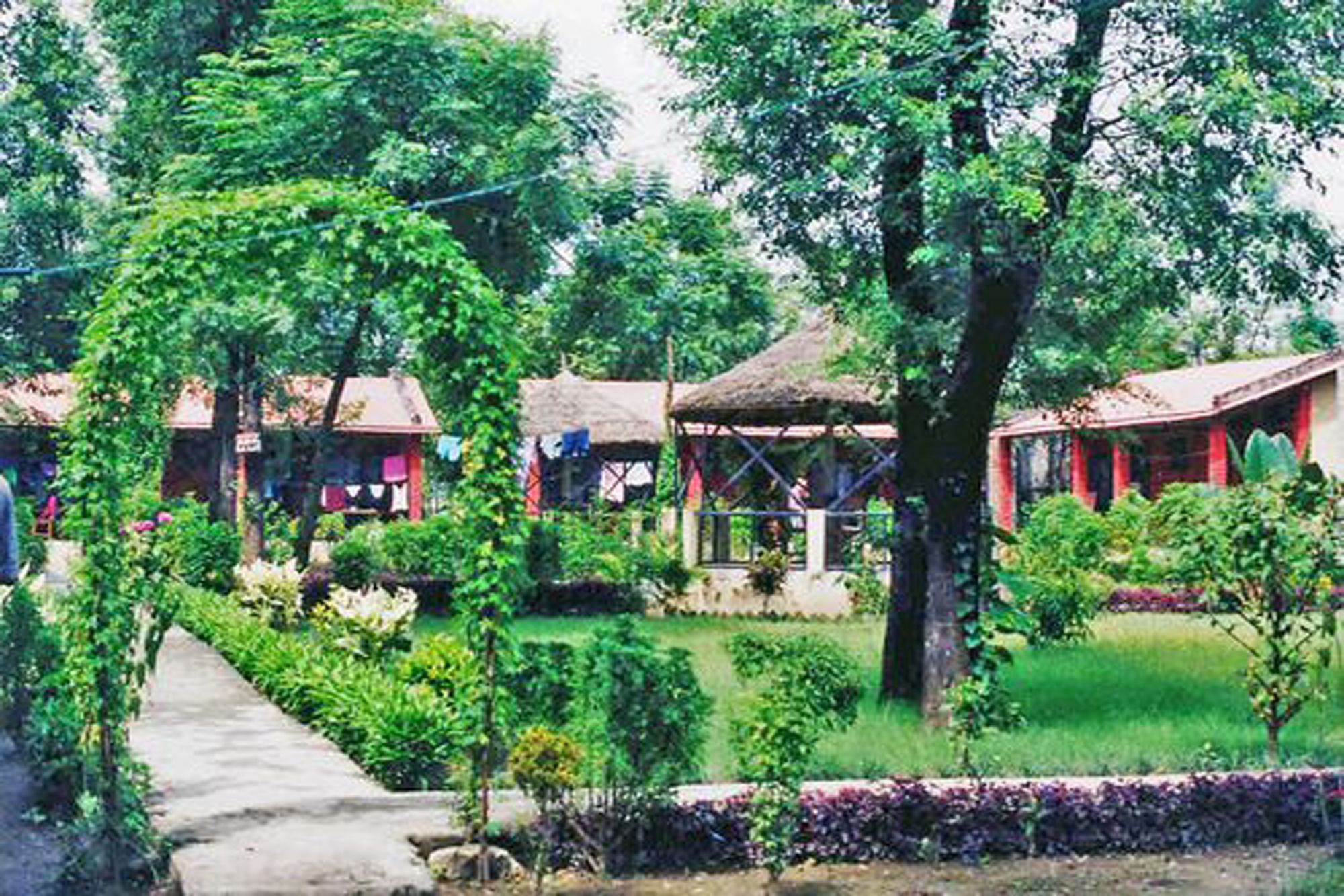 Rainbow Safari Resort Sauraha Bagian luar foto