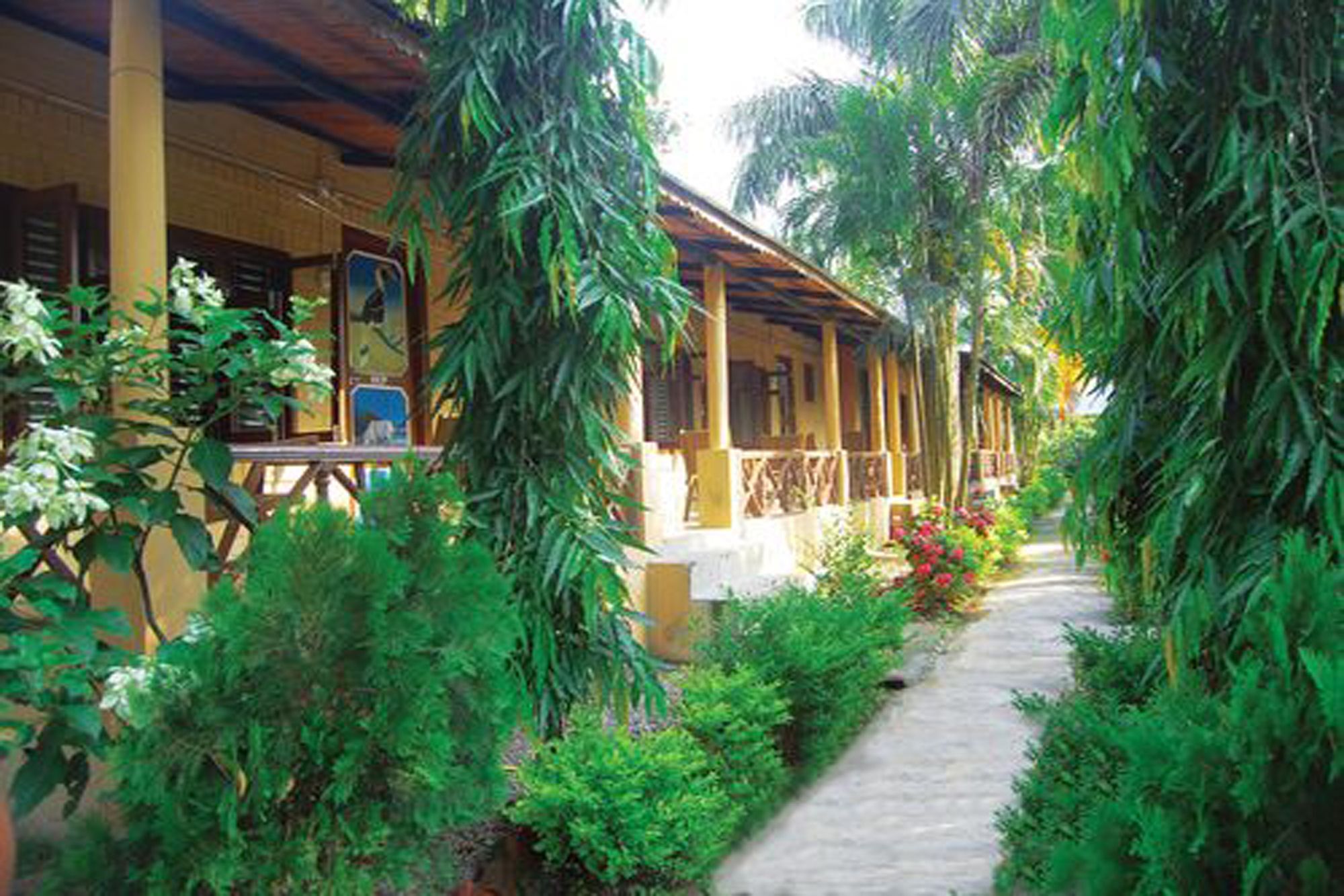 Rainbow Safari Resort Sauraha Bagian luar foto