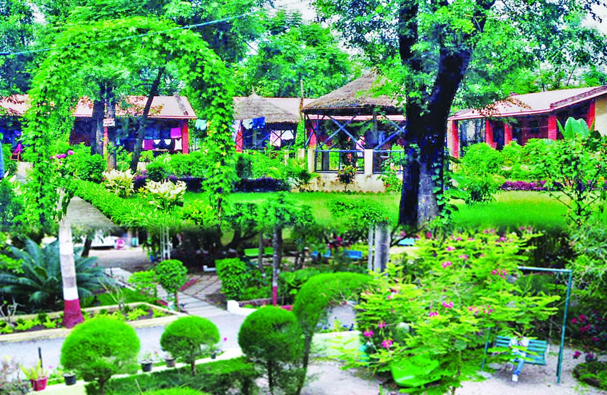 Rainbow Safari Resort Sauraha Bagian luar foto